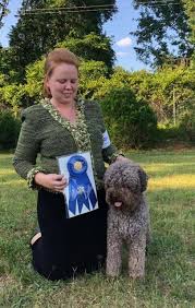 We are a family working hard to revive the rare ancient breed. Another Group 1 For Ito Tito Two By Two Lagotto Facebook
