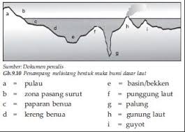 Bagian daratan yang ada di bumi disebut pulau yang dikategorikan dalam beberapa benua yakni amerika. Peta Topografi Geoenviron