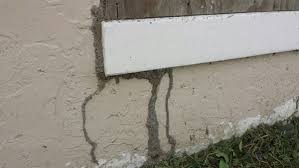 Check spelling or type a new query. Termites Info Termites Covered By Insurance