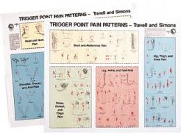Lww Travell Simons Trigger Point Pain Patterns Wall Charts I Ii