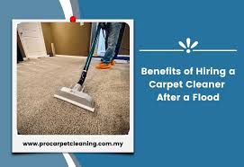 carpet cleaner after a flood