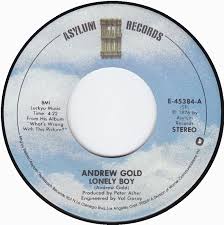 Image result for lonely boy andrew gold