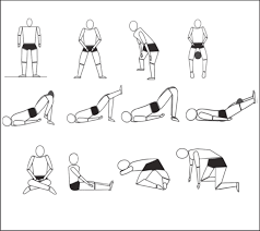 pelvic floor muscle exercises by artur