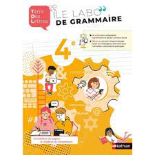 TERRE DES LETTRES LE LABO DE GRAMMAIRE 4E. EDITION 2021, Denéchère  Anne-Christine pas cher - Auchan.fr