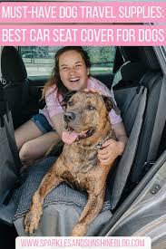 Dgs Pet S Dirty Dog Car Seat
