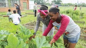 urban agriculture grants