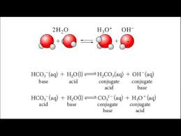 Acids And Bases 4 Conjugate Acids And