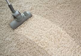 nelson tasman carpet cleaning grabone nz