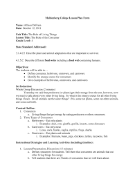 college lesson plan template word