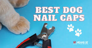 the best nail caps for dogs sit means