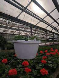 engwalls florist greenhouses garden