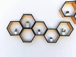 Potted Cacti On Hexagonal Shelves