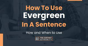 how to use evergreen in a sentence
