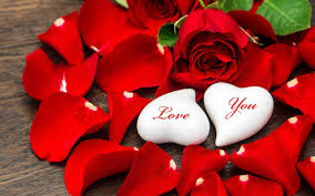 romantic love flowers wallpapers top