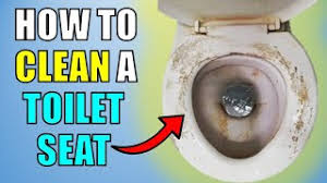 how to clean a toilet seat easily and