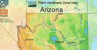 usda hardiness zone map for arizona