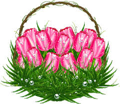 Also lily transparent animated available at png transparent variant. Tulips Gifs 100 Pieces Of Animated Pictures Spring Flowers