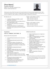Financial Controller Resume Template For Word Word Excel