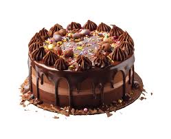 chocolate cake png happy birthday