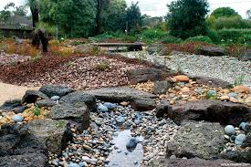 Rock Garden Water Conscious Gardens