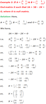 10 Math Problems Solving Matrix Equations