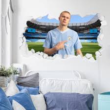 Manchester City Fc Wall Stickers