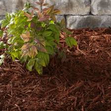 Free wood chips for sale near me. Mulch Buying Guide