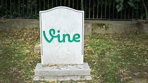 r i p twitter is killing vine allure