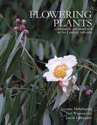 flowering plants commonly encountered