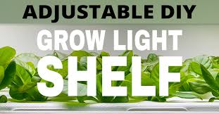 A grow light should physically cover at least 2/3 of your grow space and it works best if the entire space is evenly covered. Grow Light Diy How To Make An Easy Seed Starting Rack
