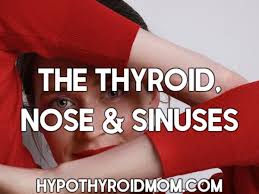 the thyroid nose and sinuses