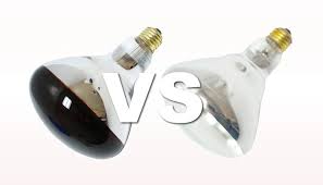 Check spelling or type a new query. Red Vs Clear Heat Lamp Light Bulbs
