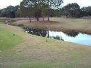 wildlife - Picture of Countryway Golf Club, Tampa - Tripadvisor