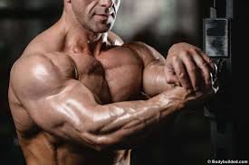 triceps workouts for bigger arms fast