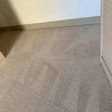 top 10 best carpet cleaning pet stains