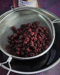 blackberry brandy recipe moorlands eater