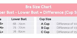 New Young Hearts Blue Bra Womens Fashion Clothes Others