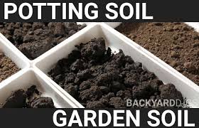 potting soil vs garden soil the
