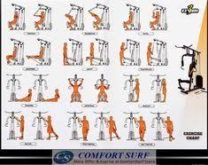 41 Best Multi Gym Images Multi Gym At Home Gym Gym Workouts