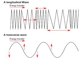 Practice identifying the characteristics of a longitudinal or transverse wave such as the wavelength, crest, and areas of compression. What Is The Difference Between Longitudinal And Transverse Waves Quora