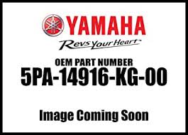 Amazon.com: Yamaha 5PA-14916-KG-00 Needle (Nbkg); ATV Motorcycle Snow  Mobile Scooter Parts : Sports & Outdoors