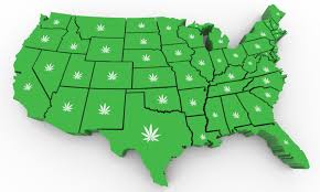 Veriheal will get in touch with you when your illinois medical marijuana card is approaching its expiration to help you set up a renewal consultation. Illinois Cannabis Laws What S Legal Elevate Holistics