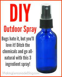 homemade outdoor cing spray bugs