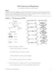 Dna structure and replication dna: Dna Pogil Pdf Fill Online Printable Fillable Blank Pdffiller