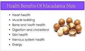 nutritional benefits of macadamia nuts