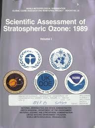 stratospheric ozone 1989 volume