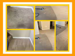 dang good carpet cleaning calgary