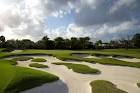 Pine Tree Golf Club - Florida - Best In State Golf Course | Top ...