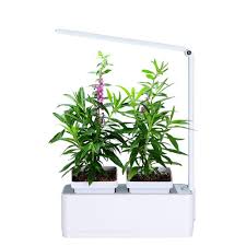 Greenearth Mini Indoor Smart Hydroponics Plant Herb Garden Kit With Wowitiscool