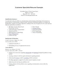 Professional Summary Example For Resume Resume Creator Simple Source